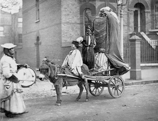 November-Effigien, 1877